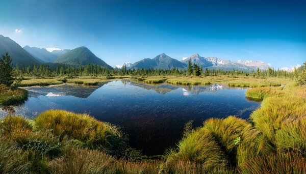 Grand tour des villages pittoresques du Japon