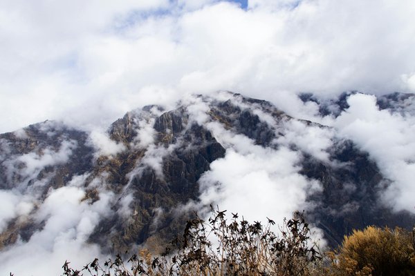 Hotels Chalets Tradition